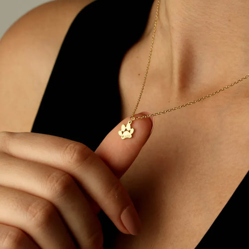 Náhrdelník se jménem na tlapce